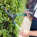 Landscaping Adds Value to Your Property