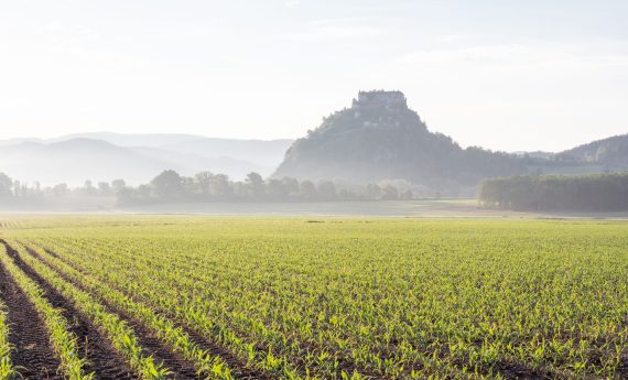 A beautiful shot of an agricultural field with the background of Hochosterwitz Castle in Carinthia